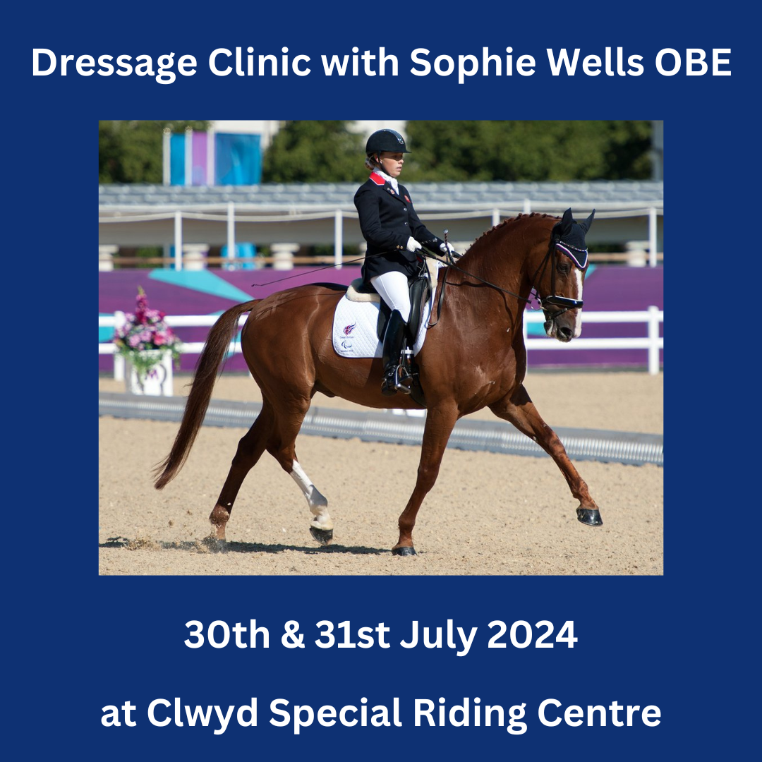 Book your place today!  Dressage Clinic with Sophie Wells OBE, Paralympic, World and European Gold Medallist.